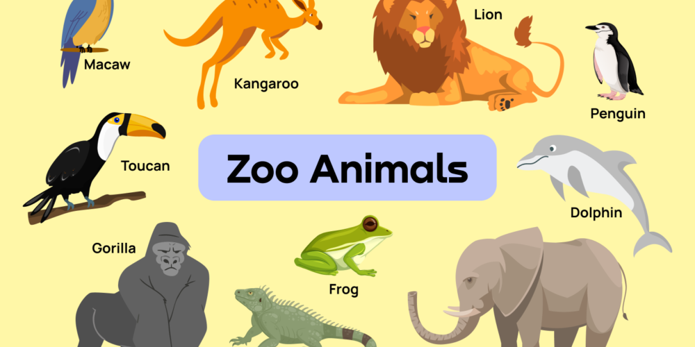 Zoo animals
